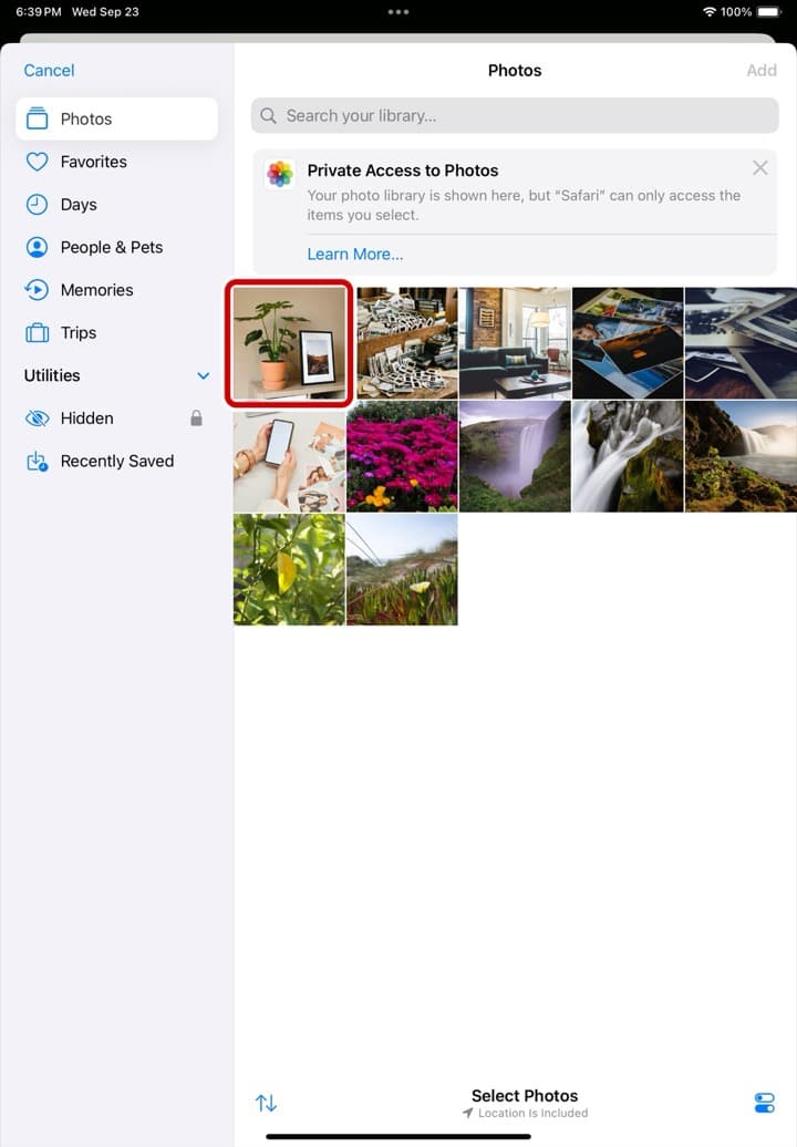 The photo library on an iPad, with the first photo ringed